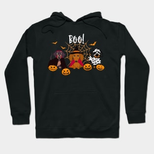 Halloween spirit  Dachshund dog Boo playful pumpkin Hoodie